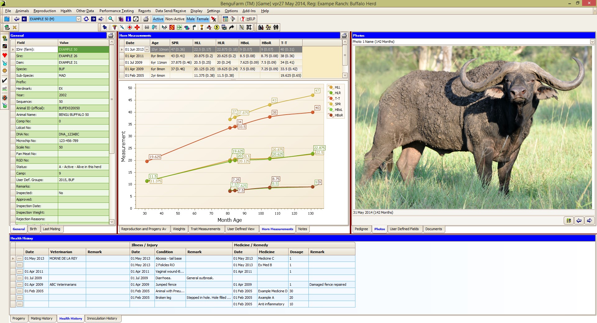 BenguFarm spel Main skerm Voorbeeld